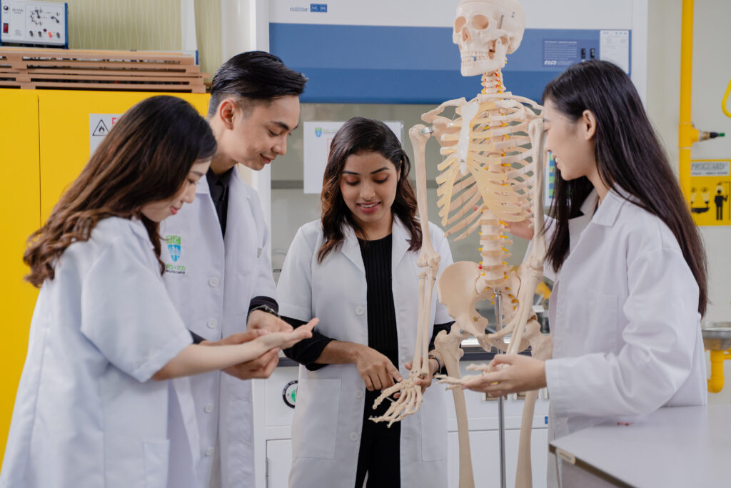 Four medical students, wearing white lab coats, are gathered around a skeleton model in a laboratory setting. They appear engaged in a discussion or learning activity, with one student pointing to a part of the skeleton's hand. The lab has a bright and organized environment, with various medical equipment and educational materials visible in the background.